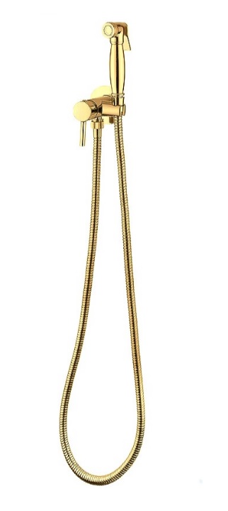 Reitano 55STF Смеситель для биде Retro (скрытый монтаж, латунная лейка), Комплект, Gold